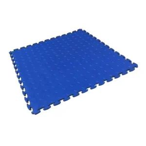 GarageGuard Stud Blue